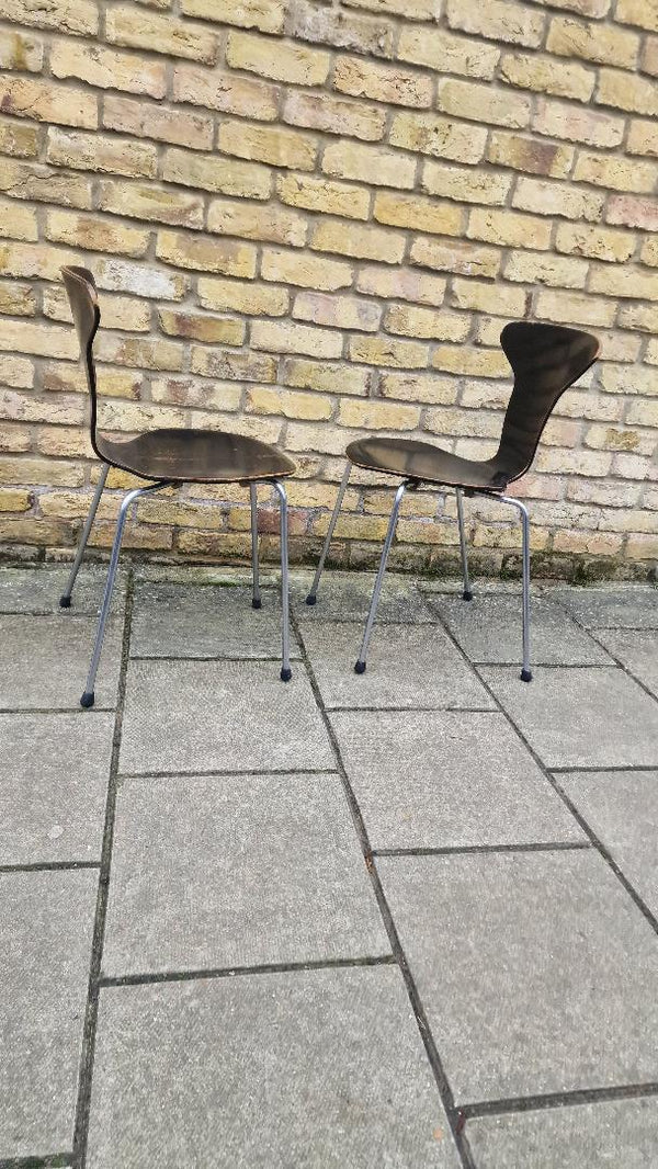 1950s pair of Arne Jacobsen Mosquito chairs